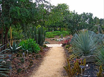 Los Angeles County Arboretum and Botanical Garden, Cactus Garden